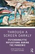 Through a Screen Darkly (eBook, PDF) - Bild 1