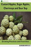 Custard Apples, Sugar Apples, Cherimoya and Sour Sop: Growing Practices and Food Uses (eBook, ePUB) Custard Apples, Sugar Apples, Cherimoya and Sour Sop: Growing Practices and Food Uses (eBook, ePUB)
