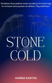 Stone Cold A thought provoking YA horror (eBook, ePUB)