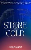 Stone Cold A thought provoking YA horror (eBook, ePUB) Stone Cold A thought provoking YA horror (eBook, ePUB)