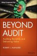 Beyond Audit (eBook, ePUB) - Bild 1