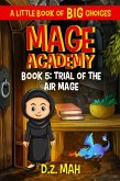 Mage Academy: Trial of the Air Mage: A Little Book of BIG Choices (eBook, ePUB)