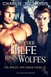 Mit der Hilfe eines Wolfes (eBook, ePUB) - Bild 1
