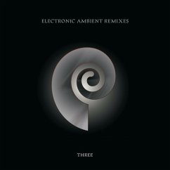 Electronic Ambient Remixes Vol.3 - Carter,Chris