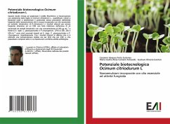 Potenziale biotecnologico Ocimum citriodurum L