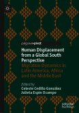 Human Displacement from a Global South Perspective (eBook, PDF)