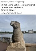 Ich habe eine Geliebte in Kaliningrad - у меня есть любовь в Калининграде (eBook, ePUB)