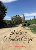 Bridging Mindset Gaps (eBook, ePUB)