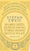 Bilmek Degil Sadece Hayal Etmek Insani Mutlu Kilar - Stefan Zweig