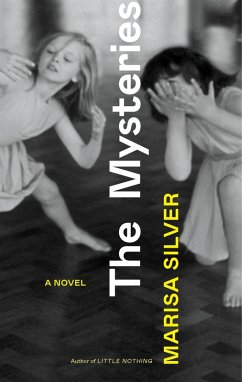 The Mysteries (eBook, ePUB) - Silver, Marisa