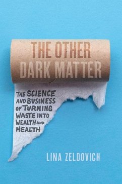 The Other Dark Matter - Zeldovich, Lina