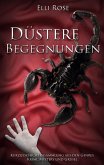 Düstere Begegnungen (eBook, ePUB)