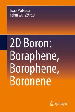 Cover 2D Boron: Boraphene, Borophene, Boronene (eBook, PDF)