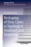 Reshaping of Dirac Cones in Topological Insulators and Graphene (eBook, PDF)