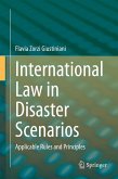 International Law in Disaster Scenarios (eBook, PDF)