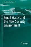 Small States and the New Security Environment (eBook, PDF)
