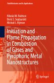 Initiation and Flame Propagation in Combustion of Gases and Pyrophoric Metal Nanostructures (eBook, PDF)