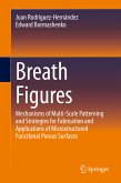 Breath Figures (eBook, PDF)