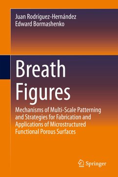 Breath Figures (eBook, PDF) - Rodríguez-Hernández, Juan; Bormashenko, Edward