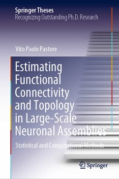 Estimating Functional Connectivity and Topology in Large-Scale Neuronal Assemblies (eBook, PDF) - Pastore, Vito Paolo