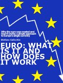EURO: What is it and how does it work (eBook, ePUB)