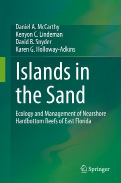 Islands in the Sand (eBook, PDF) - McCarthy, Daniel A.; Lindeman, Kenyon C.; Snyder, David B.; Holloway-Adkins, Karen G.
