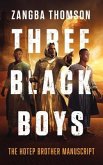 Three Black Boys (eBook, ePUB)