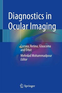 Diagnostics in Ocular Imaging (eBook, PDF)