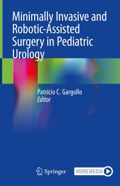 Minimally Invasive and Robotic-Assisted Surgery in Pediatric Urology (eBook, PDF)