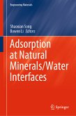 Adsorption at Natural Minerals/Water Interfaces (eBook, PDF)