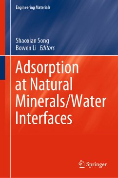 Adsorption at Natural Minerals/Water Interfaces (eBook, PDF)