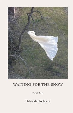 Waiting for the Snow: Poems - Hochberg, Deborah