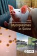 Mycoplasmas in Swine - Bild 1