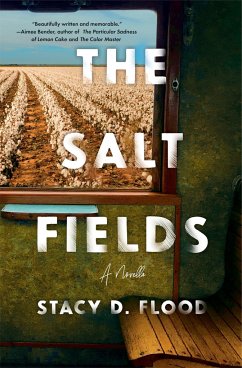 The Salt Fields - Flood, Stacy D