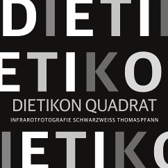 Dietikon Quadrat (eBook, ePUB)