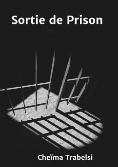 Sortie de Prison (eBook, ePUB)