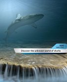 Discover the unknown world of sharks! (eBook, ePUB)