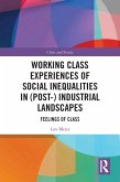 Working Class Experiences of Social Inequalities in (Post-) Industrial Landscapes (eBook, PDF)