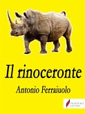 Il rinoceronte (eBook, ePUB)