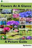 Flowers at a Glance: A Picture Guide (eBook, ePUB)