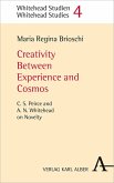 Creativity Between Experience and Cosmos (eBook, PDF)