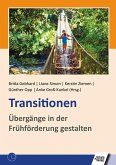 Transitionen (eBook, PDF)