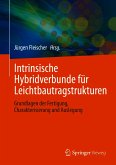 Intrinsische Hybridverbunde für Leichtbautragstrukturen (eBook, PDF)