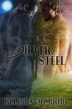 Cover Silver/Steel (Arcada, #2) (eBook, ePUB)