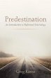 Predestination (eBook, ePUB) - Bild 1