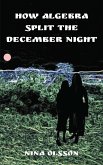 How Algebra Split the December Night (eBook, ePUB)