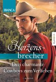 Bianca Herzensbrecher Band 8 (eBook, ePUB)