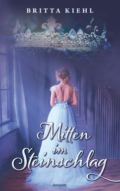 Cover Mitten im Steinschlag