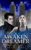 Awaken Dreamer (eBook, ePUB)