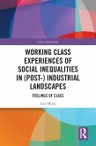 Working Class Experiences of Social Inequalities in (Post-) Industrial Landscapes (eBook, ePUB)